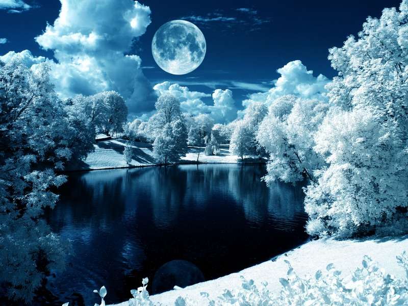 Winter Moon -Zimowy księżyc puzzle online