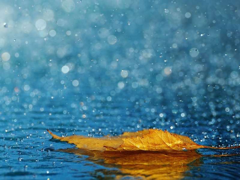 Autumn leaf-Jesienny liść w deszczu:) puzzle online