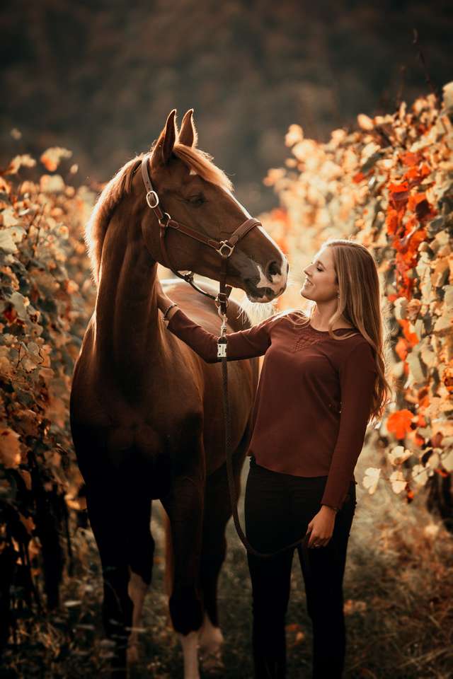 Kobieta z koniem czyli wielka przyjaźń puzzle online