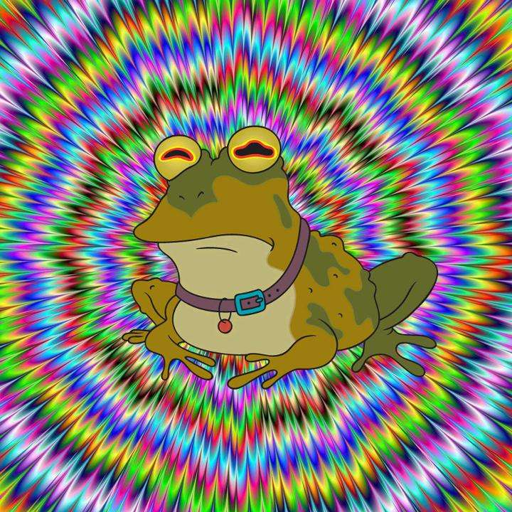 żaba uwu ropucha uwu puzzle online
