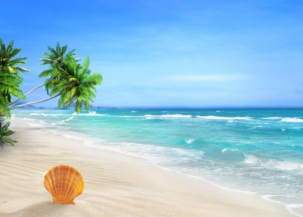 Piaszczysta plaża w tropikach puzzle online