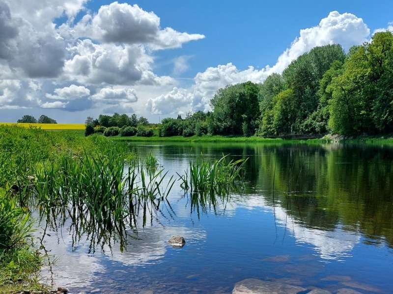 Summer Pond -Letni staw-piękne miejsce:) puzzle online