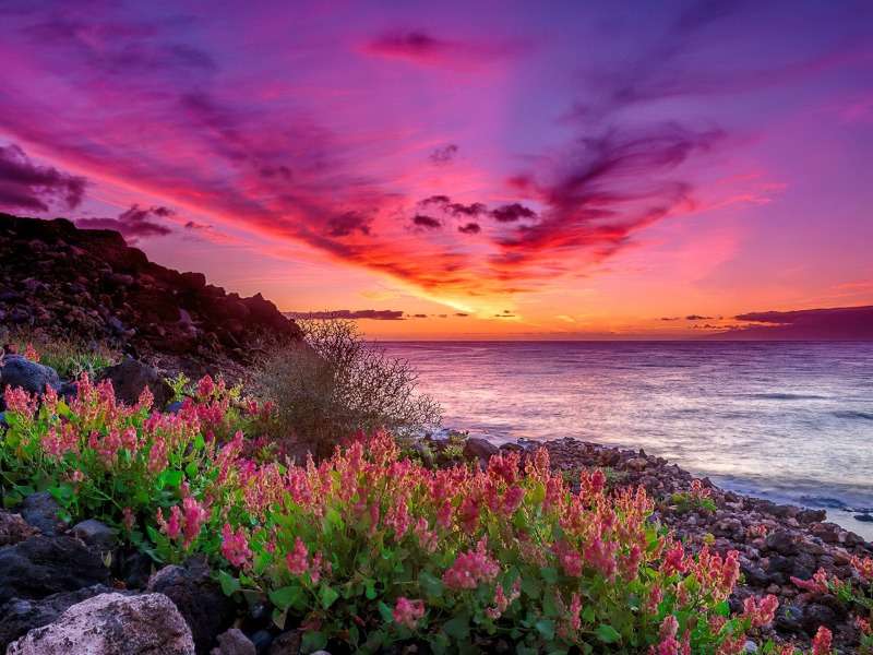 Przepiękny zachód słońca nad morzem puzzle online