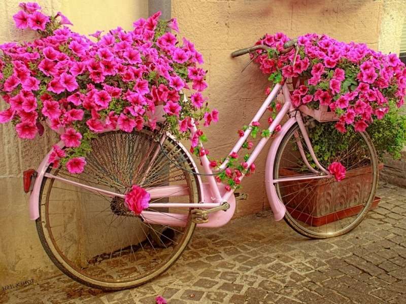 Kwiatowy uroczy rowerek, coś pięknego puzzle online