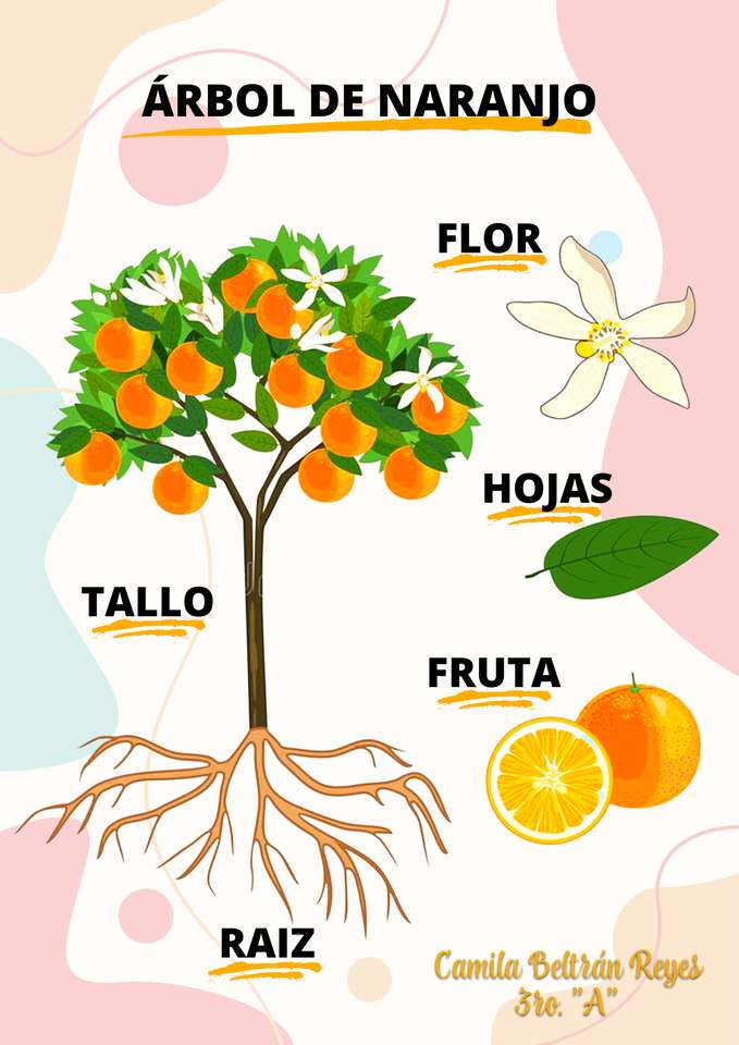 drzewo pomarańczowe puzzle online