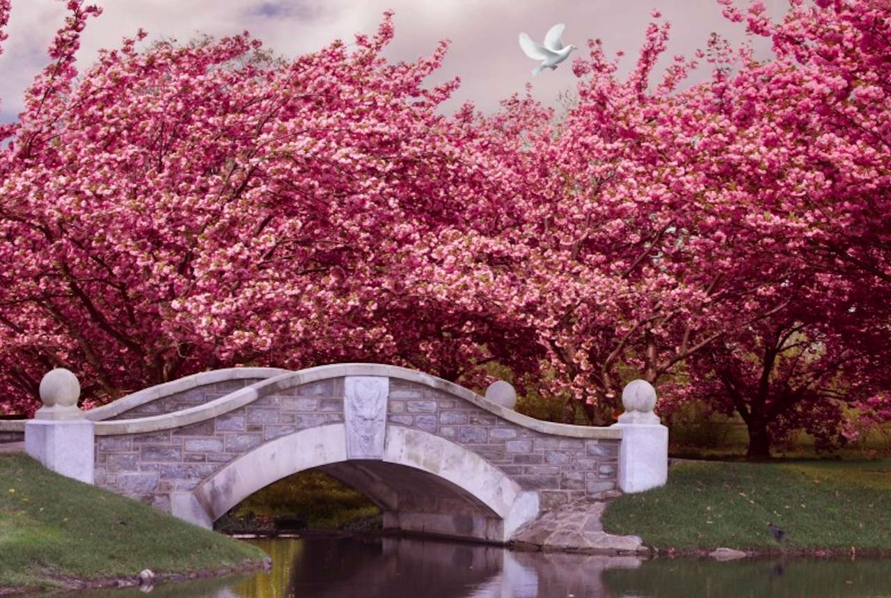 Piękno japońskiego ogrodu i kwitnące wiśnie puzzle online