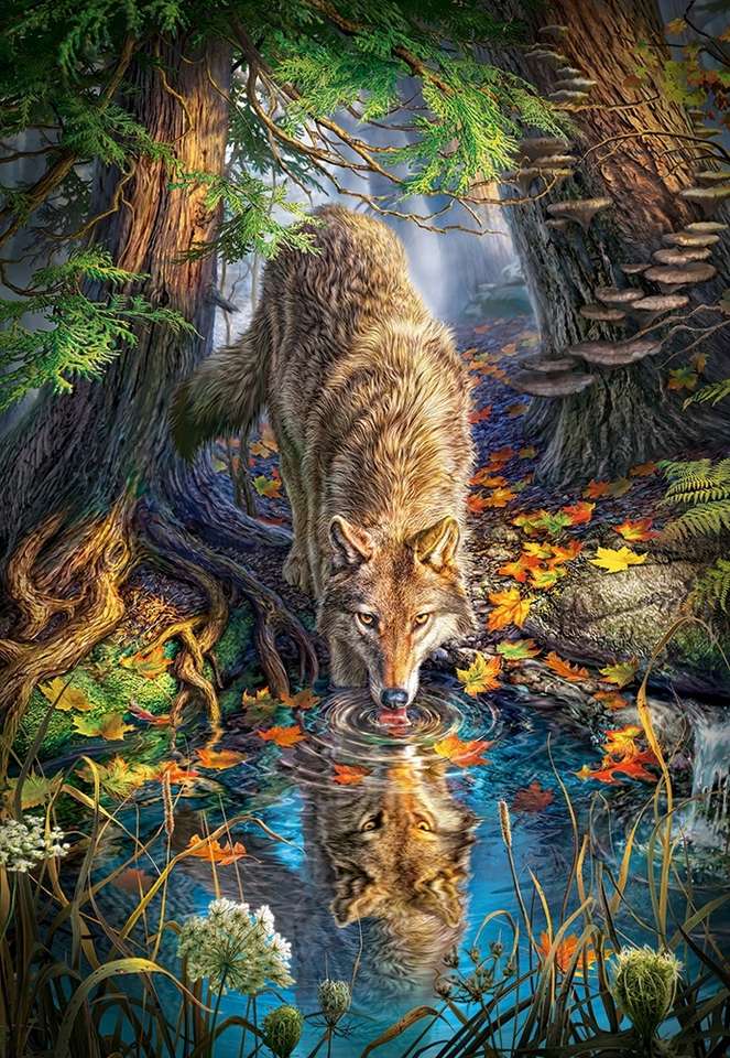 Wilk w lesie puzzle online