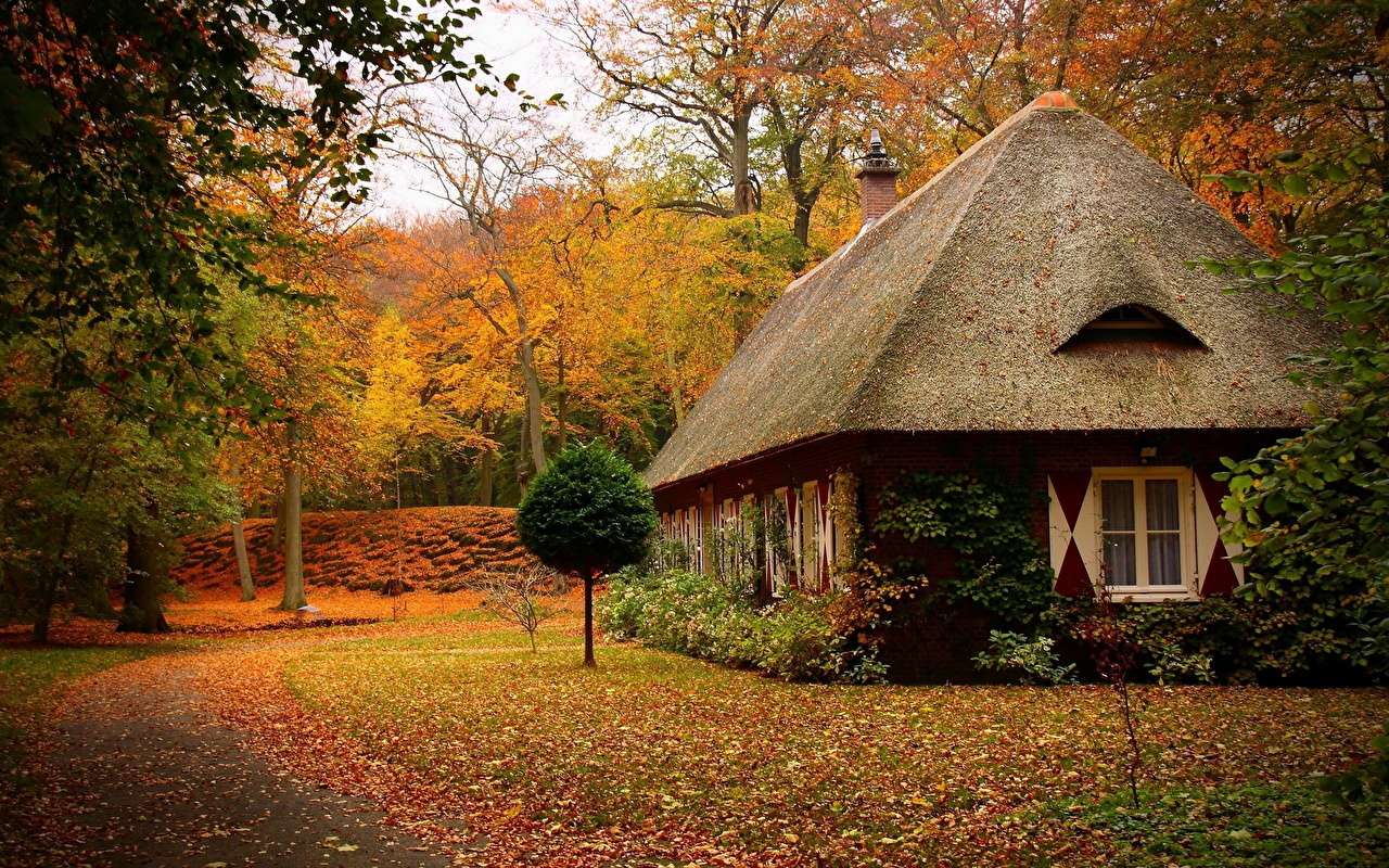 chata na odludziu jesienią puzzle online