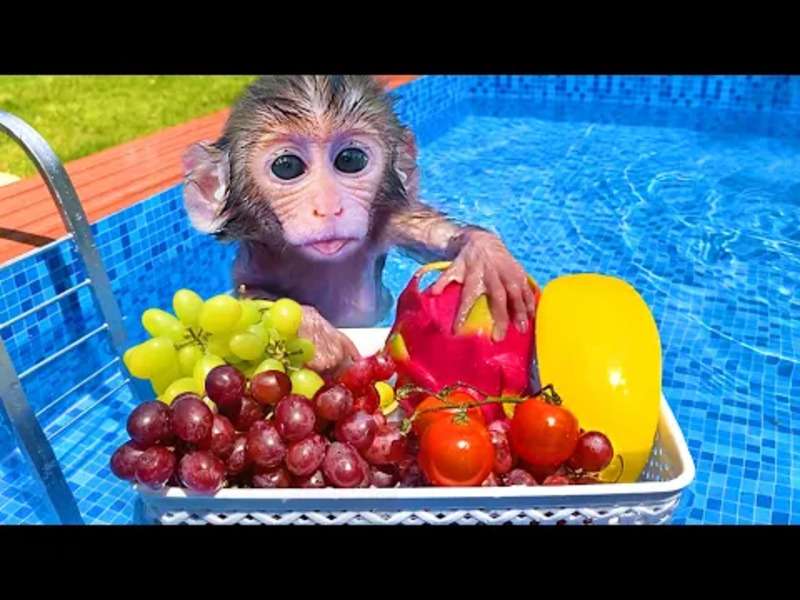 Urocza mała małpka Bibi #383 puzzle online