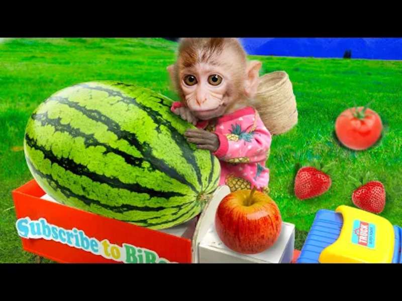 Urocza mała małpka Bibi #386 puzzle online