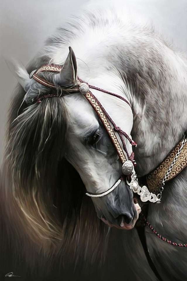piękny hiszpański koń puzzle online