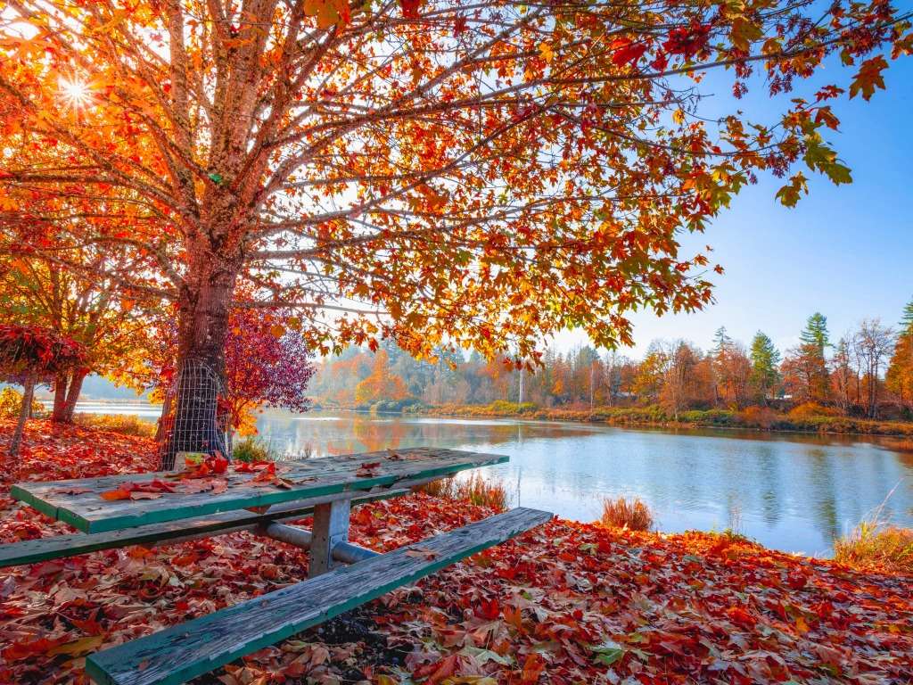 A jesienią w parku taki piękny widok puzzle online