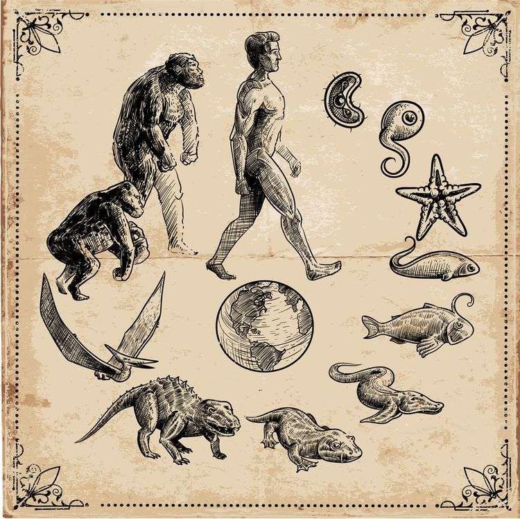 Ewolucja puzzle online