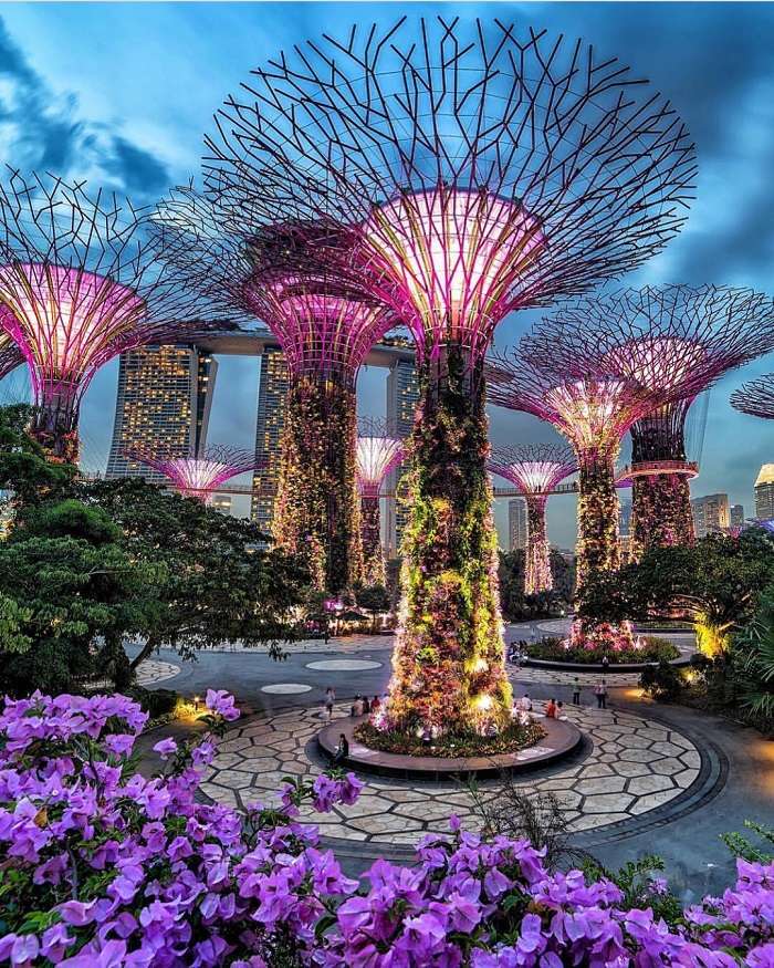 drzewa słoneczne - Singapur puzzle online