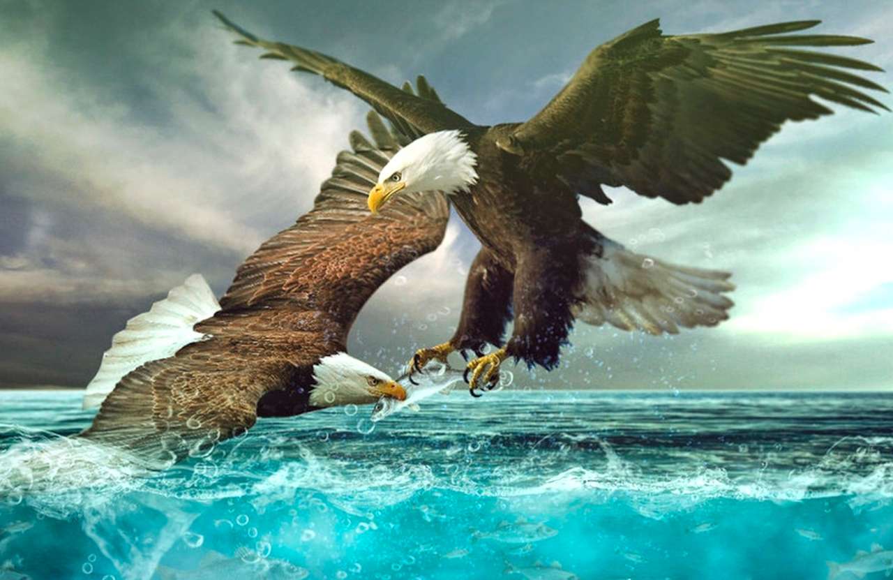 Orły walczące o rybę - Eagles Fighting Over Fish puzzle online