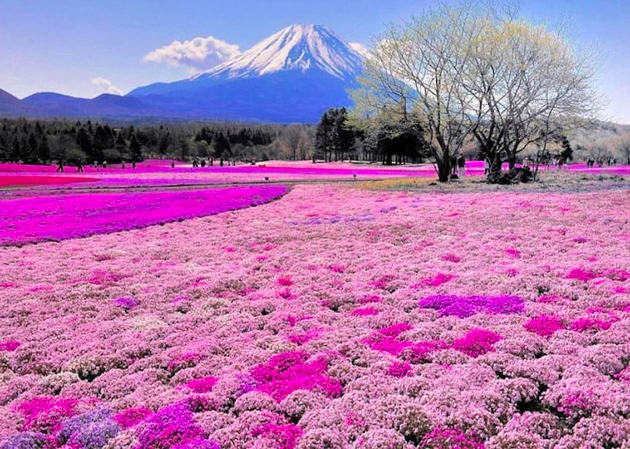 Wulkan Fuji wczesną wiosną - Japonia puzzle online