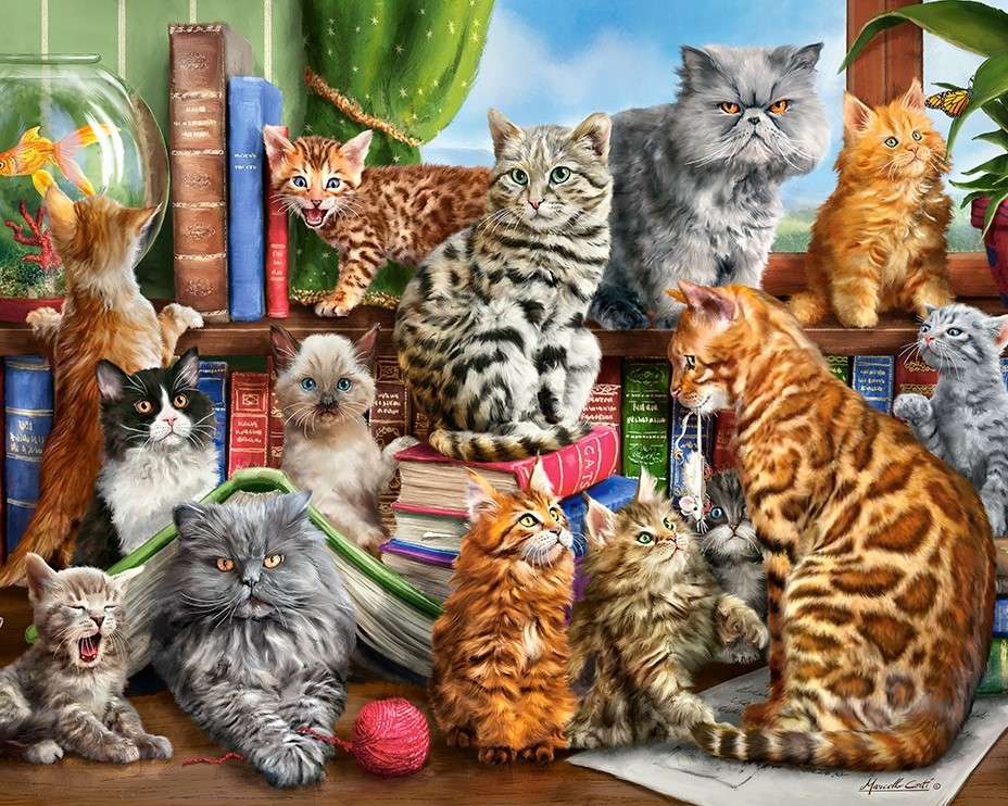 Różne rasy kotów puzzle online