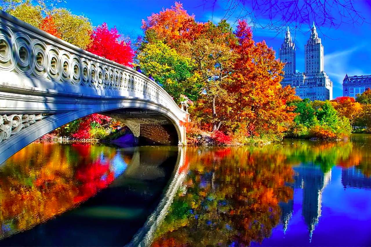 Jesień Central Park Nowy Jork, widok zachwyca puzzle online