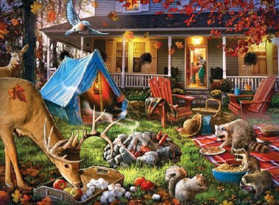 camping in the yard puzzle