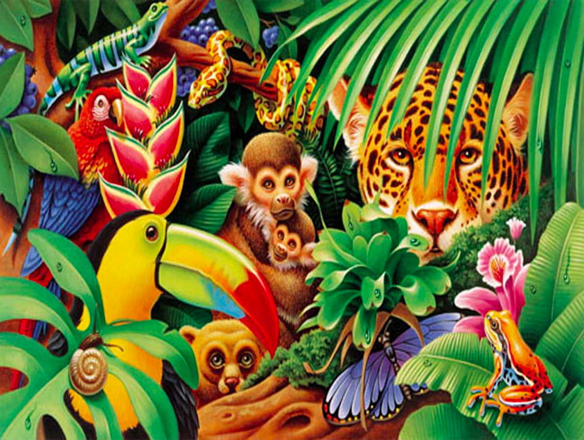 Mieszkańcy tropików puzzle online