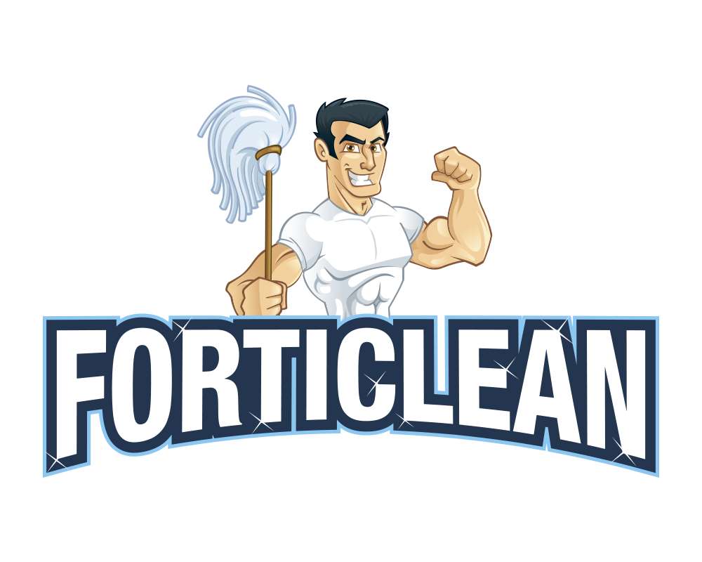 FORTICLEAN puzzle online