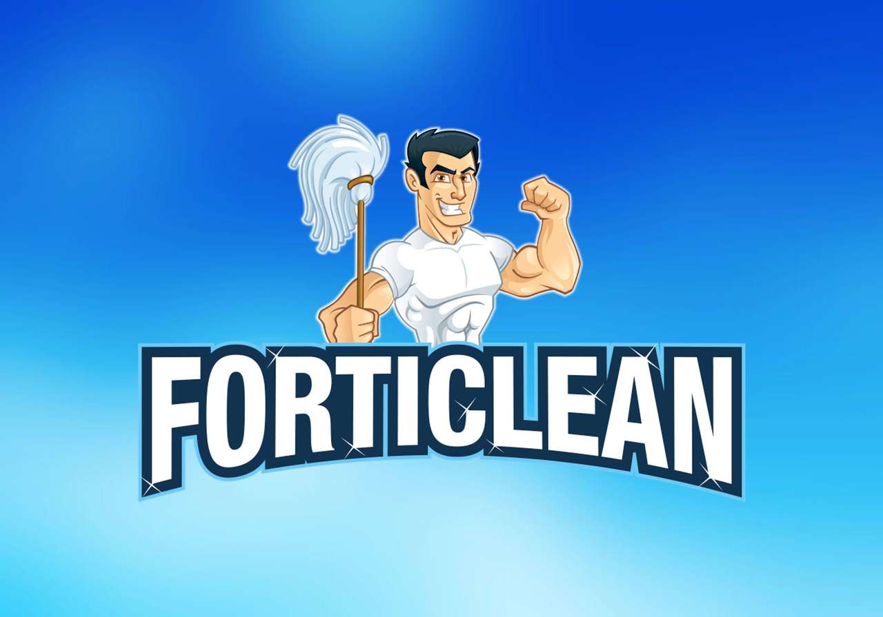 FORTICLEAN2 puzzle online