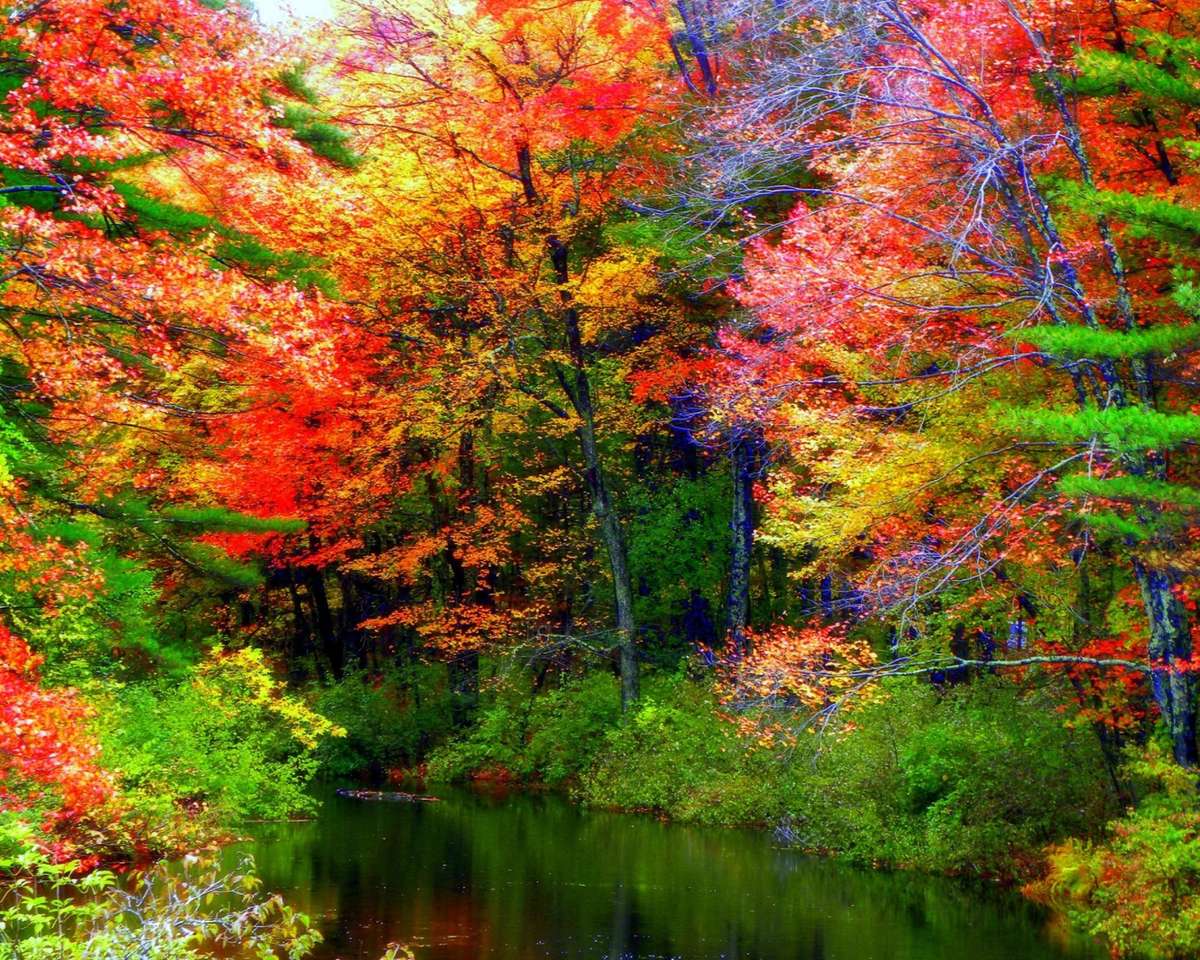 Piękno jesiennego lasu nad rzeką, widok zachwyca puzzle online