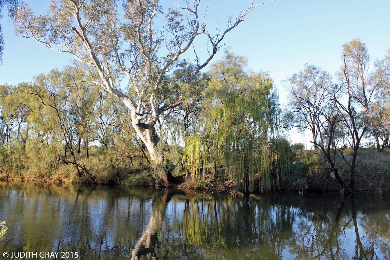 Park Narodowy Kakadu, Australia puzzle online