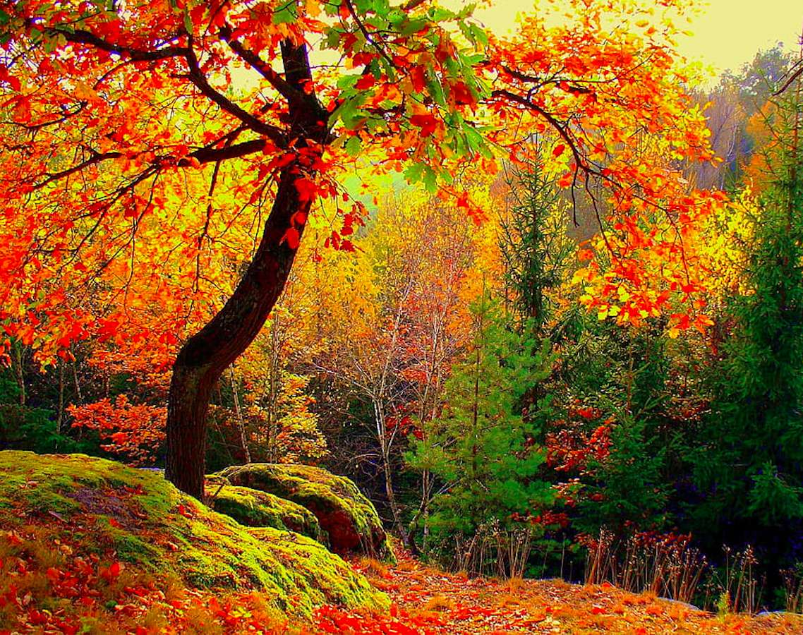 Jesienny pejzaż w słońcu puzzle online