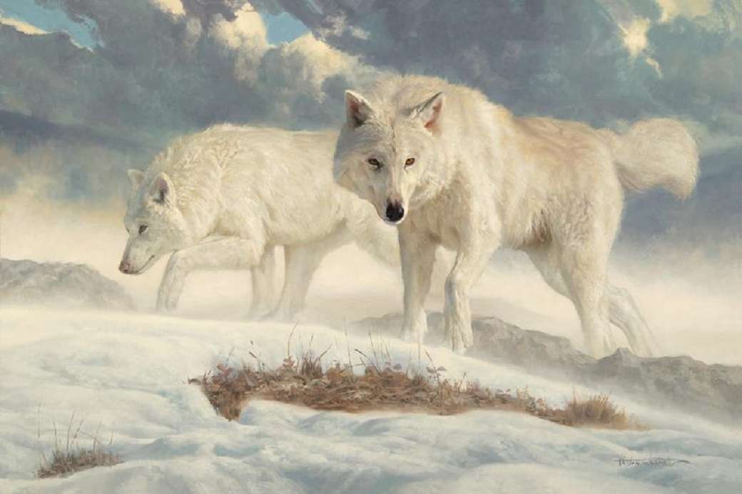 białe wilki puzzle online
