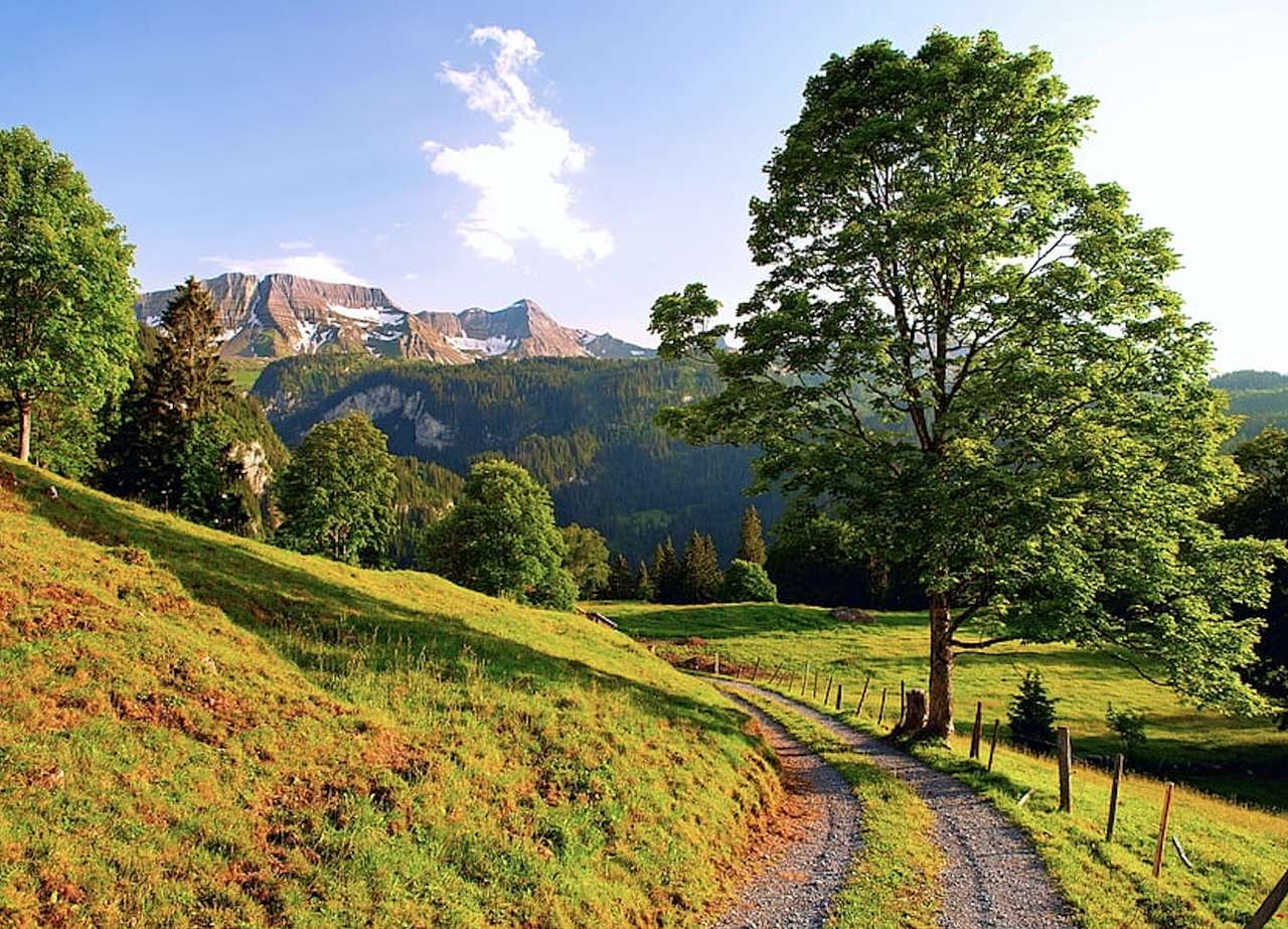 Szwajcaria-Droga prosto do gór, uroczy widok puzzle online