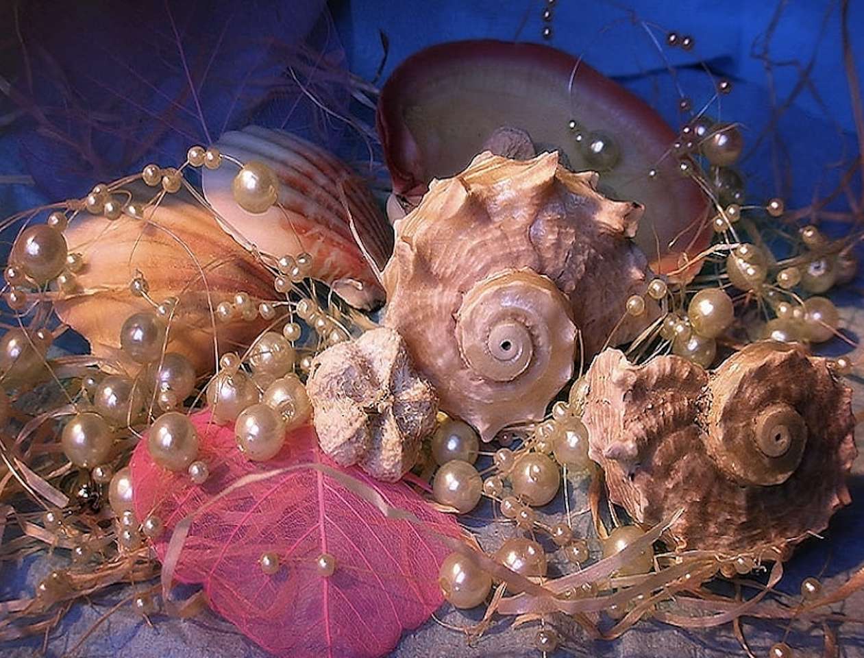 Perły, cudne muszle skarby oceanu puzzle online