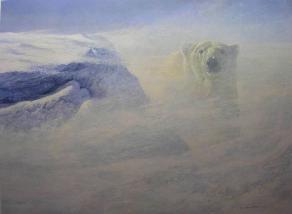niedźwiedź polarny w śniegu puzzle online