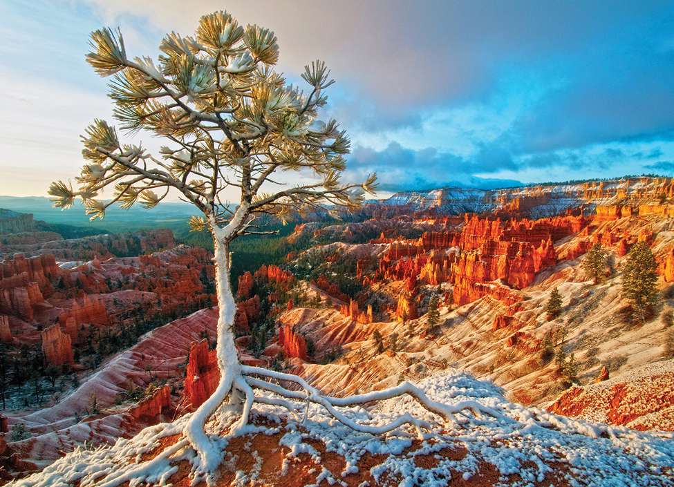 Samotne drzewko w kanionie przy wschodzie słońca puzzle online