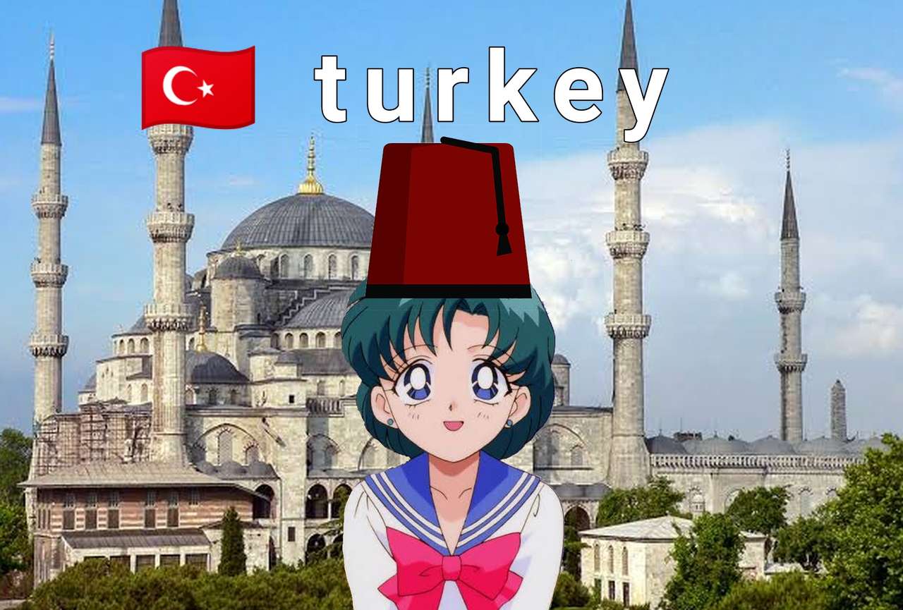 Turcja Ami Mizuno puzzle online