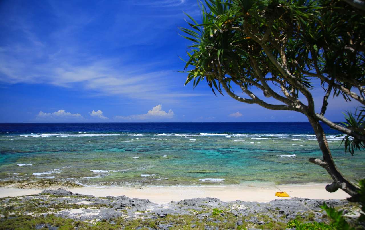 Malownicza tropikalna plaża puzzle online