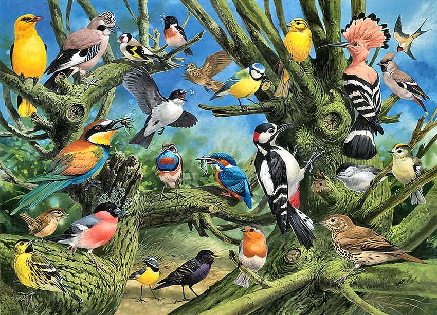 Rajski ogród ptaszków, ich widok zachwyca puzzle online