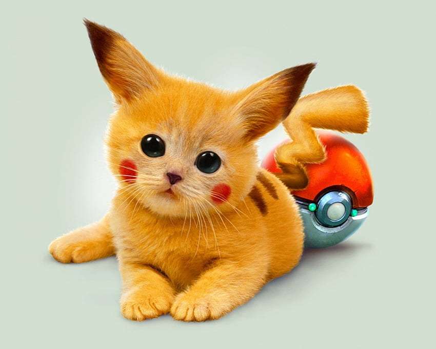 Pikachu - uroczy kotek:) puzzle online