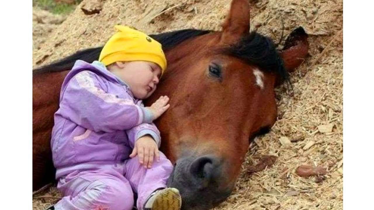 koń i dziecko puzzle online