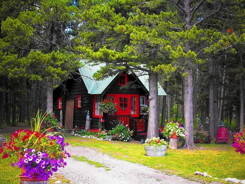 Piękny leśny domek, piękne miejsce puzzle online