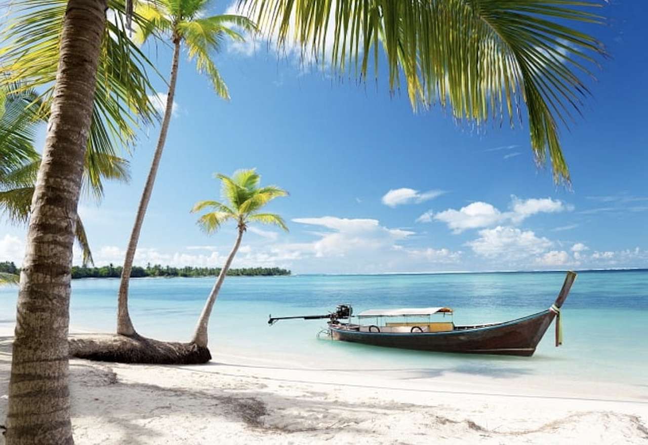 Tropikalna plaża i mała palma, uroczy widok puzzle online