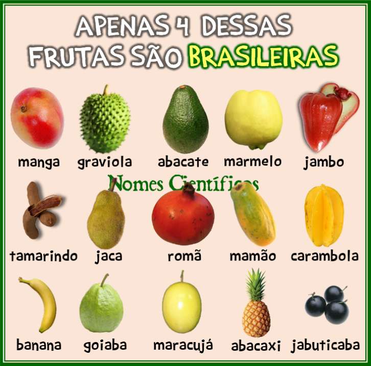 4 brazylijskie owoce puzzle online
