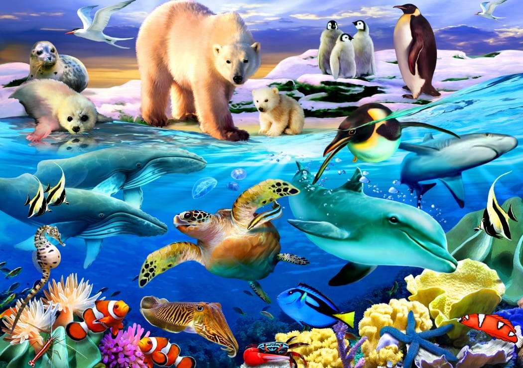 Zwierzęta znad oceanów puzzle online