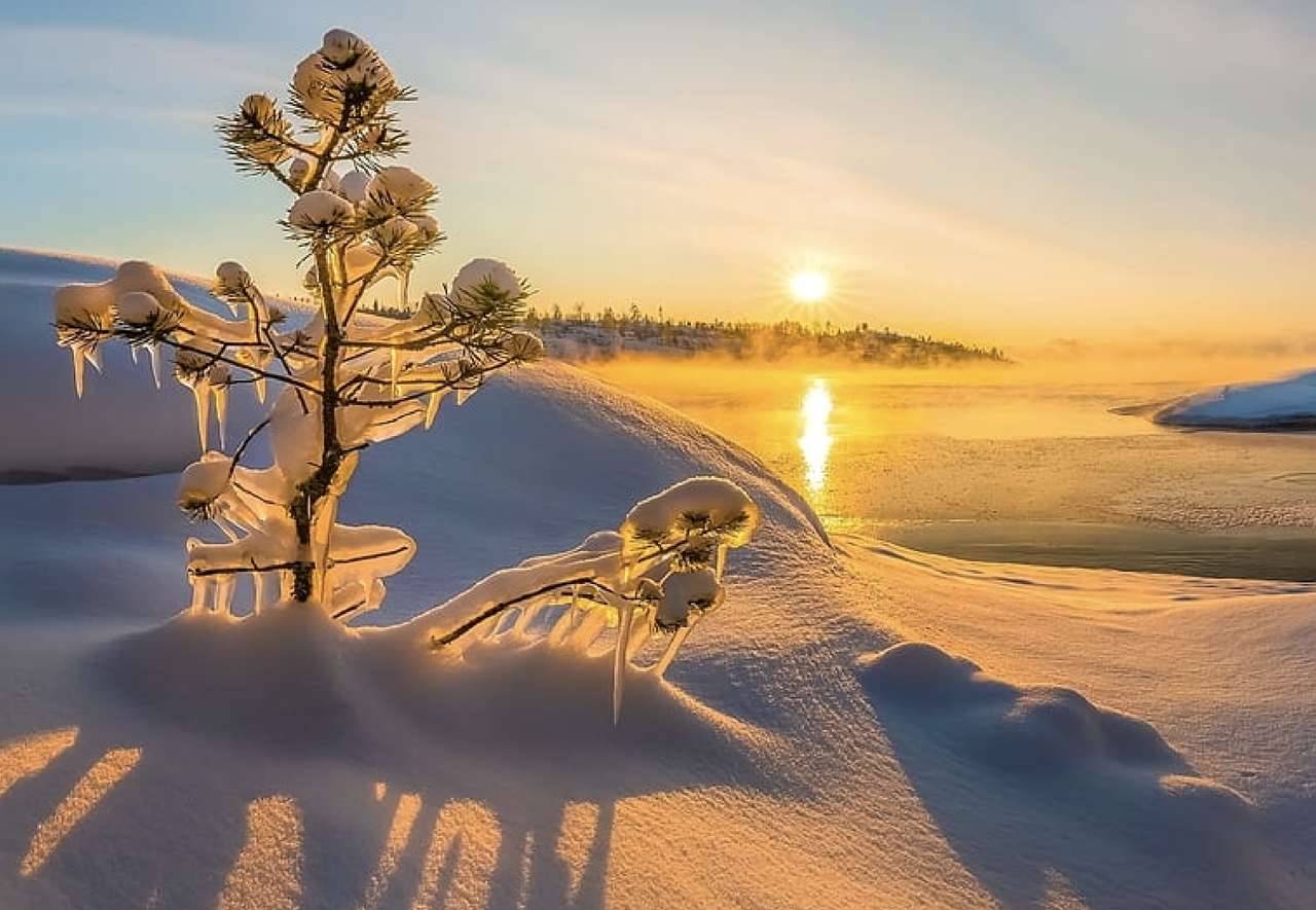 Ostre zimowe słońce, co za widok, piękny puzzle online