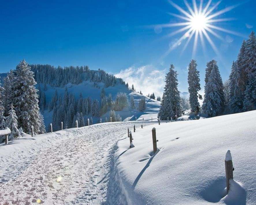 Śnieżna droga w słoneczny dzień puzzle online