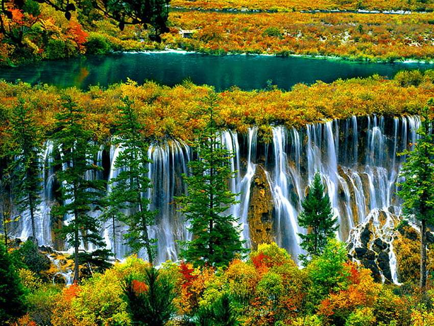 Chiny-Jesienne piękno rezerwatu przyrody puzzle online