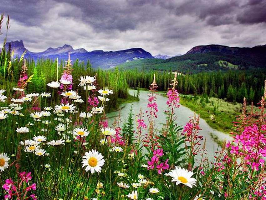 Wystrojona pięknymi kwiatami górska rzeka puzzle online