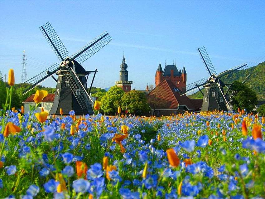 Holenderski wiatraki wśród kwiatów puzzle online