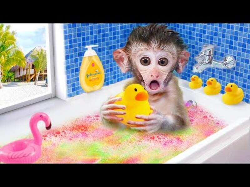 Urocza mała małpka Bibi #391 puzzle online