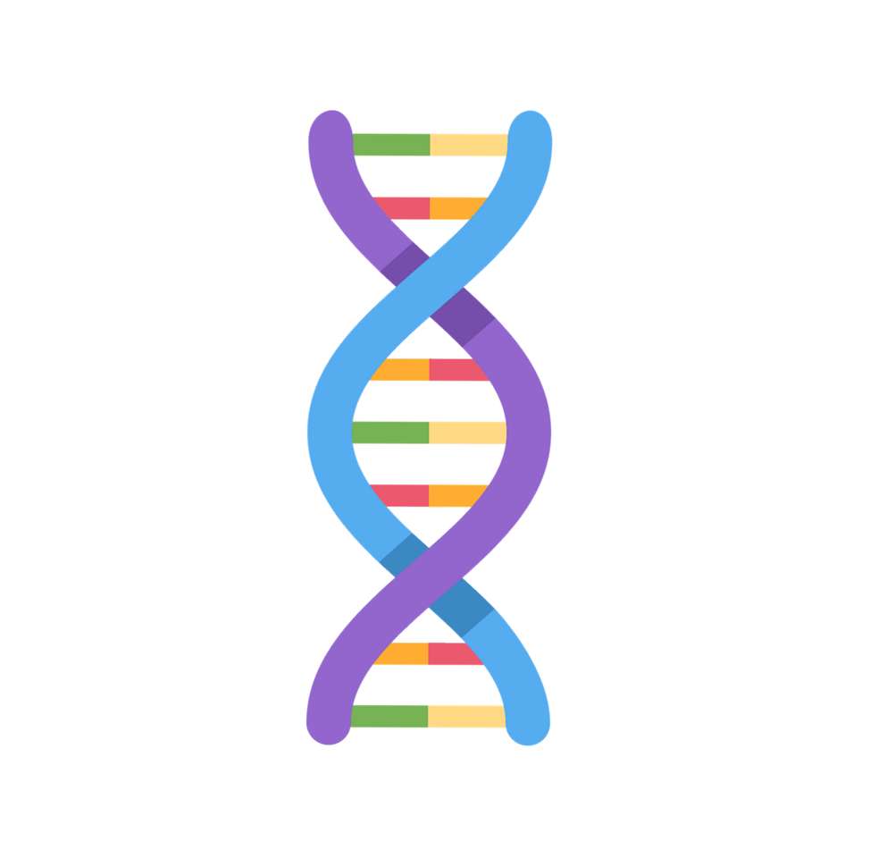 DNA_EBDV2023 puzzle online